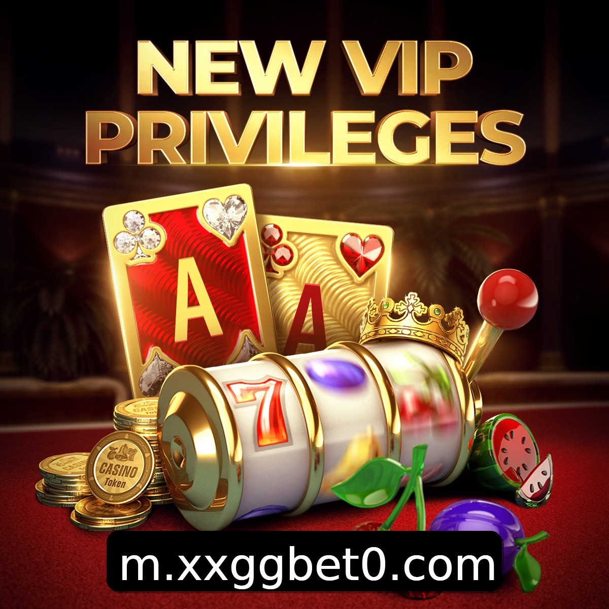Programa VIP xxgg
